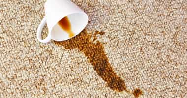 Affordable Carpet Stain Treatment